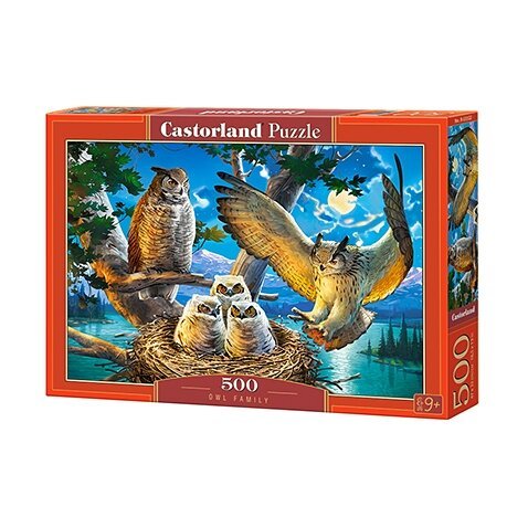 Castorland dėlionė Owl Family 500 det
