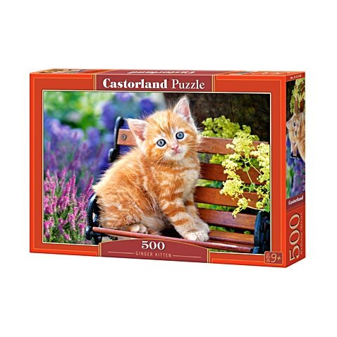 Castorland dėlionė Ginger Kitten 500 det.