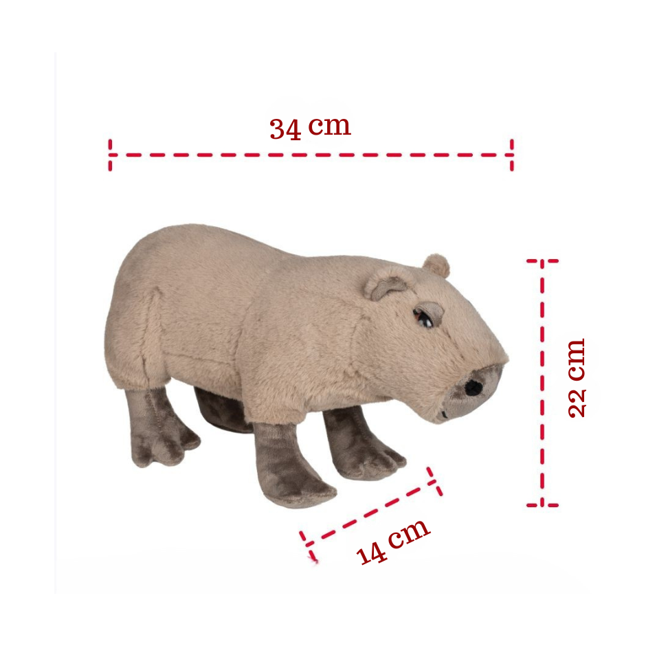 Fancy minkštas žaislas kapibara 40 cm - Image 4